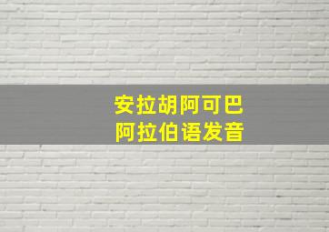 安拉胡阿可巴 阿拉伯语发音